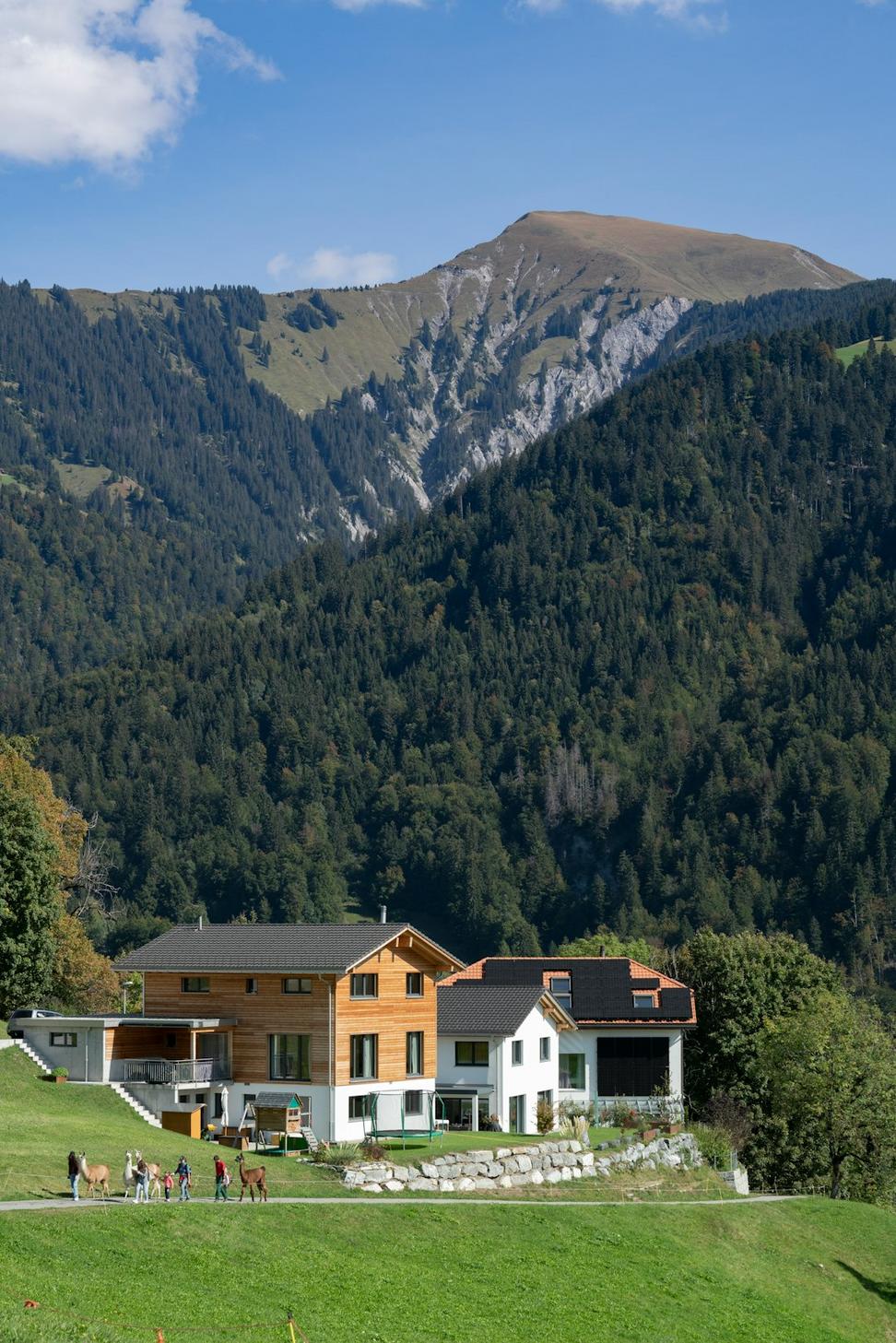 Resort Amenities